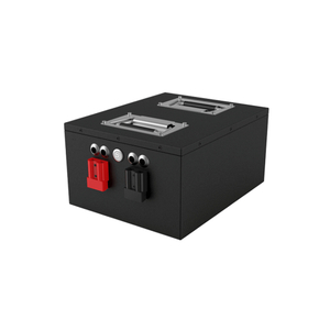 RJ 48V 60Ah Lithium Battery 51.2V OEM Power Pack for AGV AMR Industrial Robots