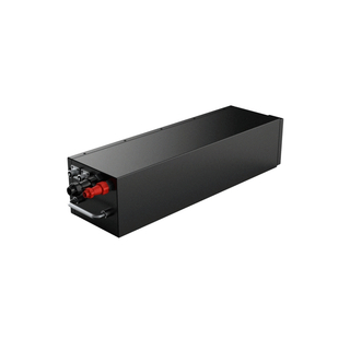 RJ 24V 80Ah Customized 8S 22.2V 29.6V Rechargeable Lifepo4 Battery Pack for UAV UGV AGV RGV robot