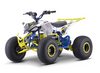 RJ TECH 24V 48V Lithium Lifepo4 Batteries for DRR USA Electric ATV DRX 90 DRX 50 DRX 400 DRX 250