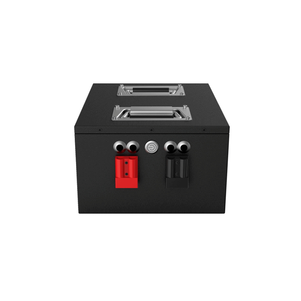 RJ 48V 60Ah Lithium Battery 51.2V OEM Power Pack for AGV AMR Industrial Robots